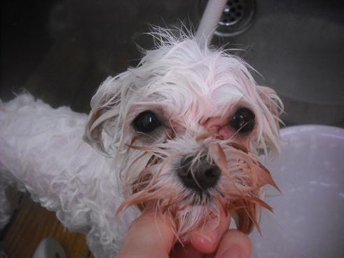 ファイル 2510-2.jpg