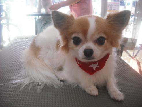 ファイル 2512-1.jpg