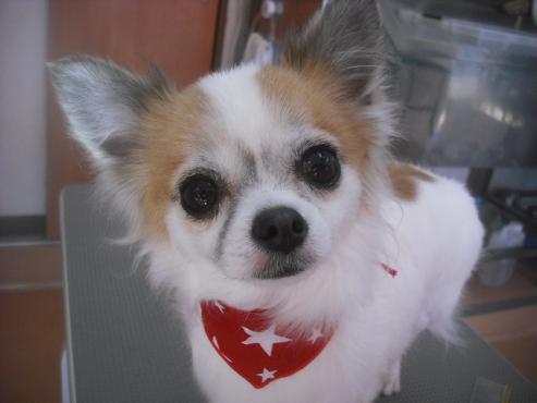 ファイル 2513-1.jpg