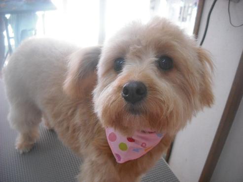 ファイル 2514-2.jpg