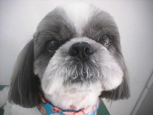 ファイル 2516-1.jpg