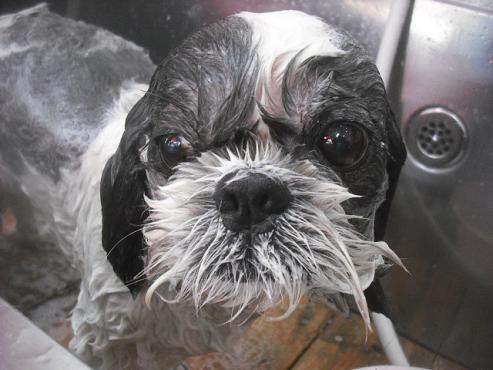 ファイル 2516-3.jpg