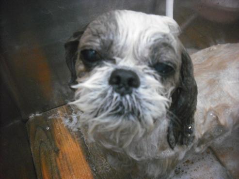 ファイル 2517-3.jpg