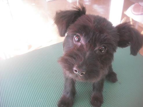 ファイル 2518-1.jpg