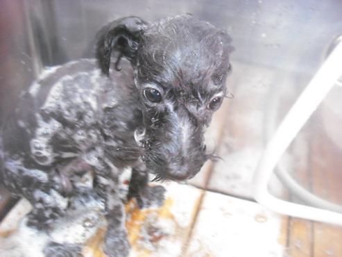 ファイル 2518-3.jpg