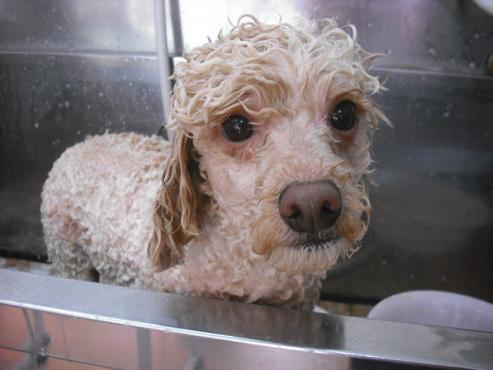 ファイル 252-2.jpg