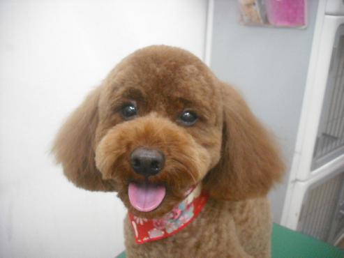 ファイル 2520-2.jpg