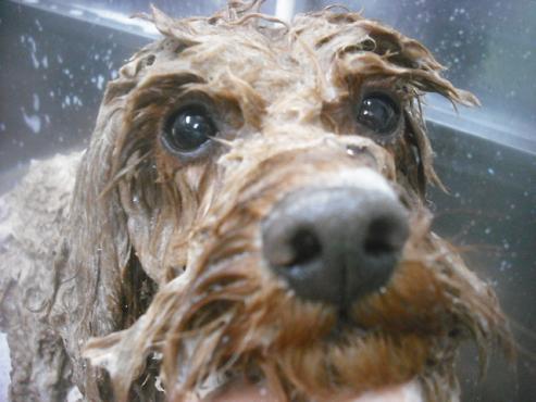 ファイル 2520-3.jpg