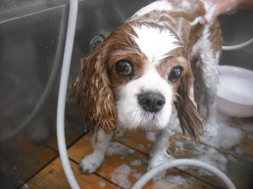 ファイル 2522-3.jpg