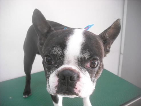 ファイル 2525-2.jpg