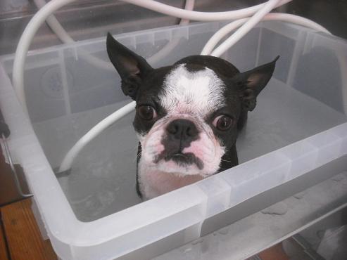 ファイル 2526-3.jpg