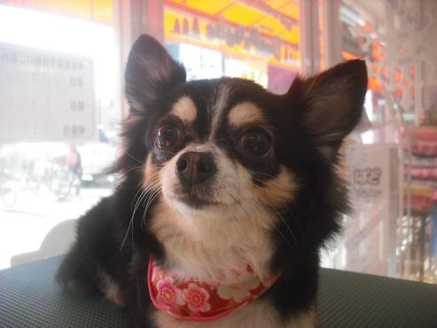 ファイル 2528-3.jpg