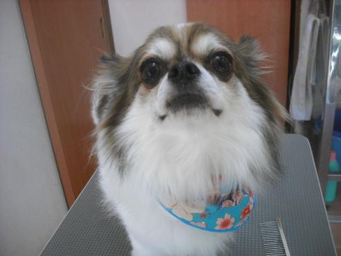 ファイル 2529-3.jpg