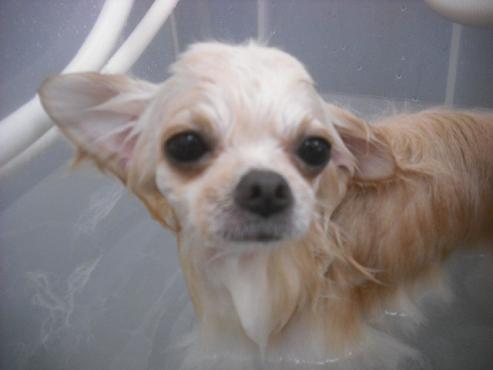 ファイル 2530-3.jpg