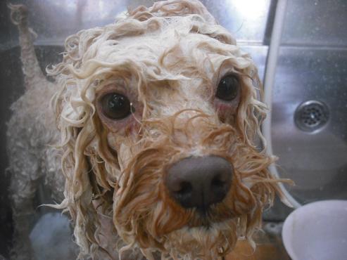 ファイル 2532-3.jpg