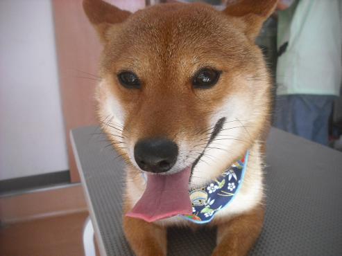 ファイル 2533-3.jpg