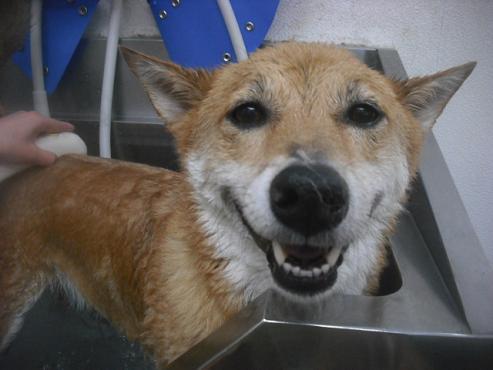 ファイル 2534-3.jpg