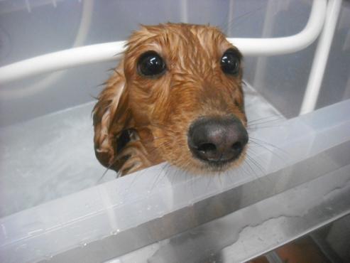 ファイル 2536-3.jpg