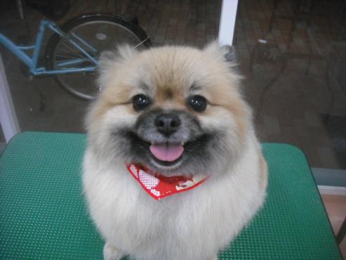 ファイル 2537-1.jpg