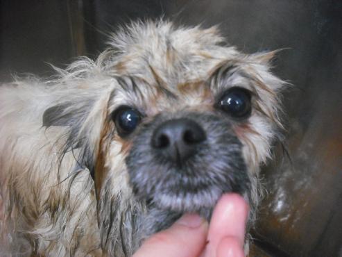 ファイル 2537-2.jpg