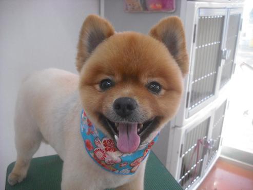 ファイル 2538-1.jpg