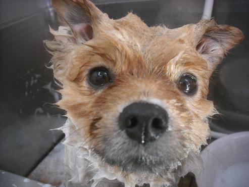 ファイル 2538-3.jpg