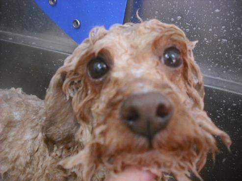 ファイル 2539-3.jpg