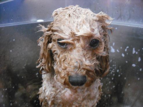 ファイル 254-2.jpg