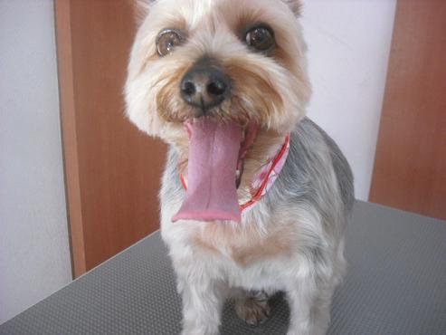 ファイル 2540-1.jpg