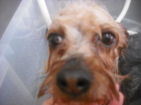 ファイル 2540-2.jpg