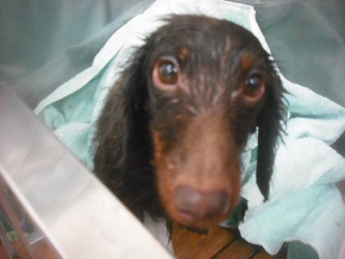 ファイル 2541-3.jpg