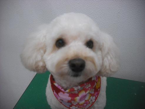 ファイル 2542-1.jpg