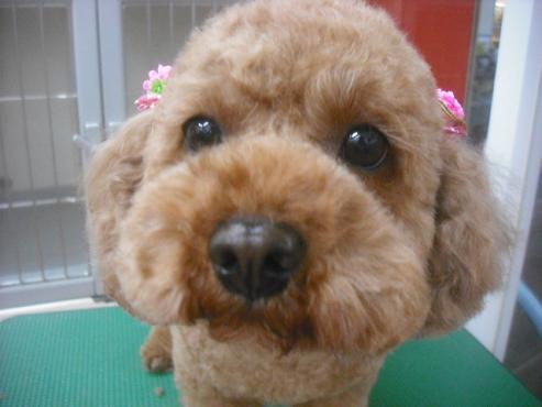 ファイル 2543-2.jpg