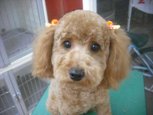 ファイル 2544-2.jpg