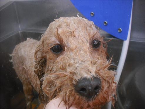 ファイル 2545-3.jpg