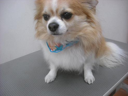 ファイル 2547-1.jpg