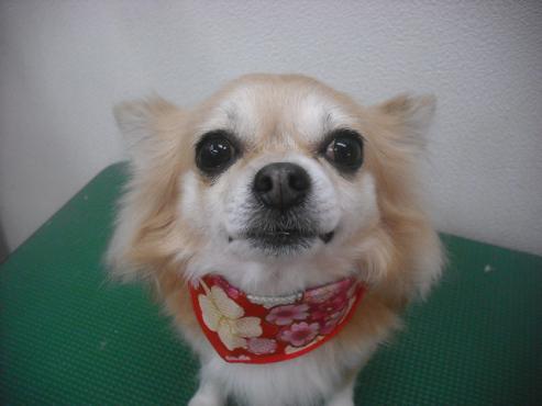 ファイル 2548-1.jpg