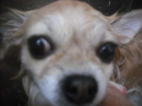 ファイル 2548-2.jpg