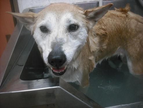 ファイル 2549-3.jpg