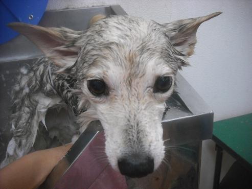 ファイル 2550-3.jpg