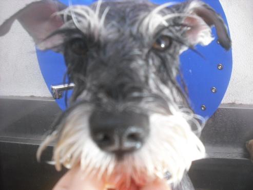 ファイル 2551-2.jpg