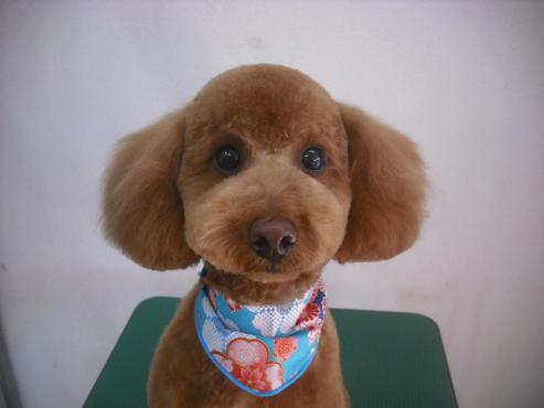 ファイル 2552-1.jpg