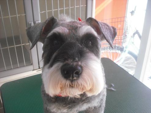 ファイル 2553-1.jpg