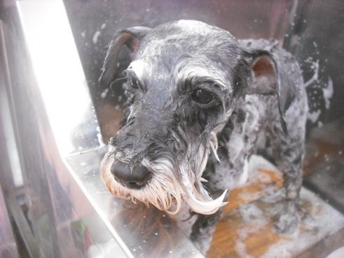 ファイル 2553-2.jpg