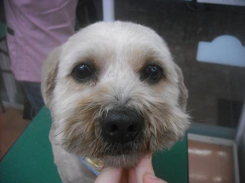 ファイル 2554-1.jpg