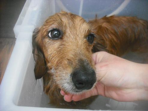 ファイル 2555-3.jpg