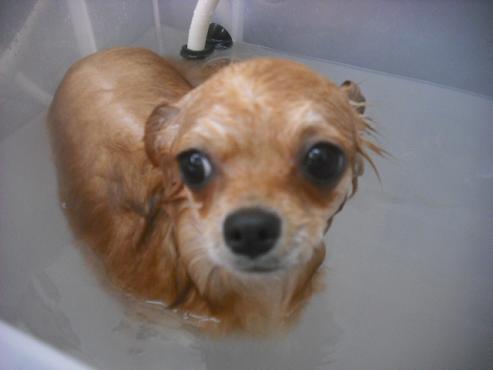 ファイル 2556-2.jpg