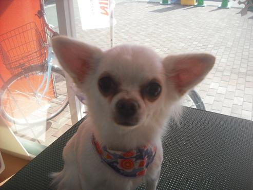 ファイル 2557-2.jpg