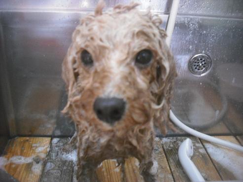 ファイル 2559-2.jpg