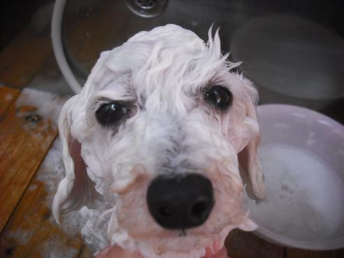 ファイル 256-2.jpg